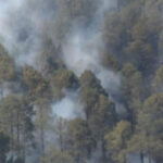 Forest Fire Season 2024: Dharamshala reported 5 incidents of Forest Fire