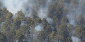 Forest Fire Season 2024: Dharamshala reported 5 incidents of Forest Fire