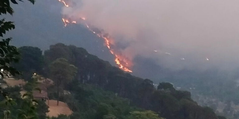 World Environment Day 2024 : The Rising Concern of Forest Fires in Dharamshala