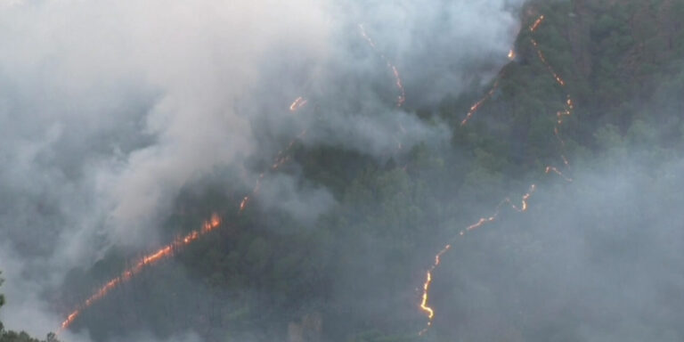 Dharamshala records highest number of Forest Fires in Himachal Pradesh